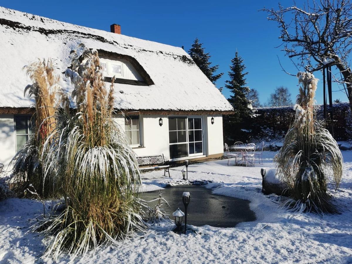 Reetferienhaus - Hafen *