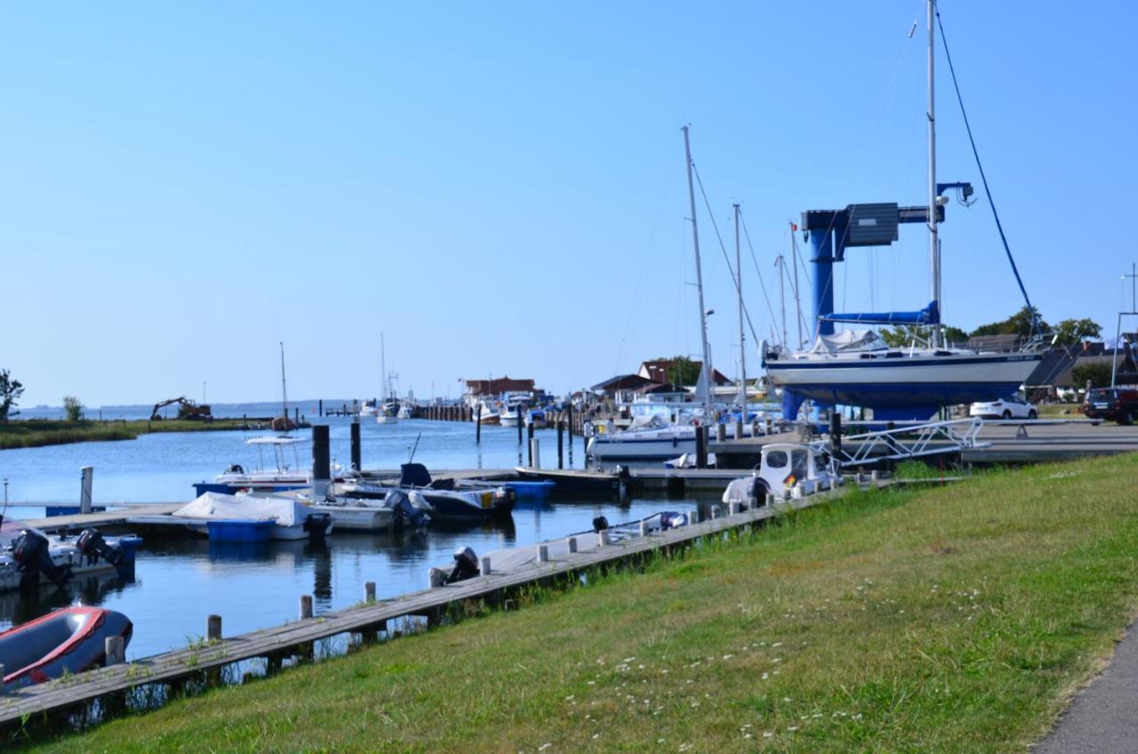 Reetferienhaus - Hafen *